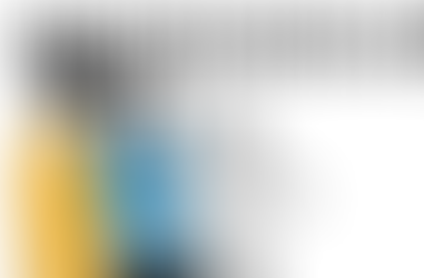 Why it's Important for Your Nonprofit or Private Foundation to Hire an Auditor with a PASS Rating 