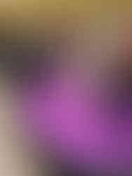 BryMar team members attend the Yu-Ai Kai 52nd Anniversary Celebration in San Jose’s Japantown, joining community leaders and guests for an evening of connection and celebration.