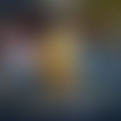 BIENVENUE CHEZ LES DUCS