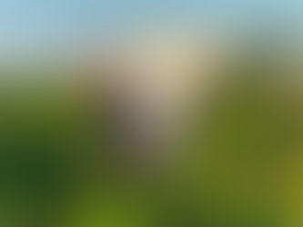 Journée de Cohésion des Espoirs