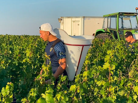 Journée de Cohésion des Espoirs