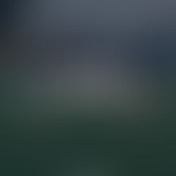 JOURNÉE 19 || LA COMPO