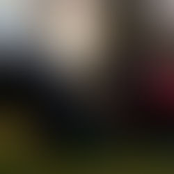 The Perfect Vehicle?