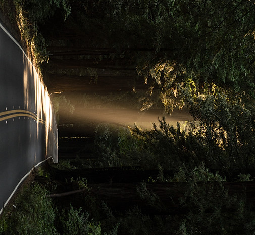 Beam of light on a forest road_edited.jp