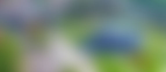 Dac san Dien Bien nhat dinh ban khong the bo qua