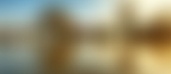 Gioi thieu cac mon dac san noi tieng cua Thai Binh