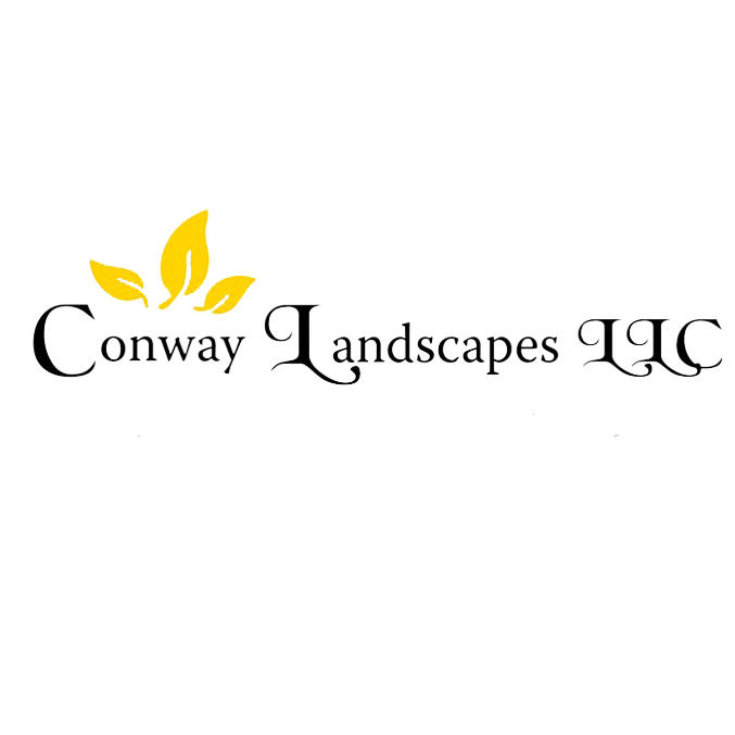Conway Landscapes LLC - Landscaping in Albany