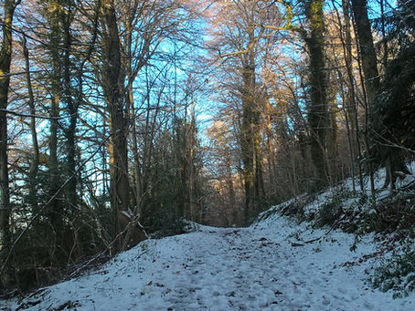 Slow is the new Fast! - does Ritual rewire the brain?