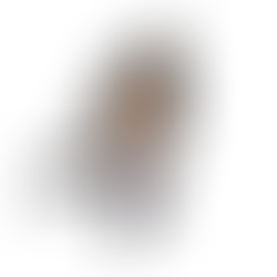 Royals Claim LCAA Bowling Title