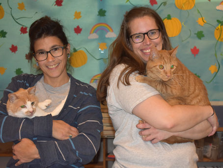 Rising operational costs, new minimum wage law among factors for CTPL to seek additional millage