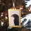 Thumbnail: Raven Ornament