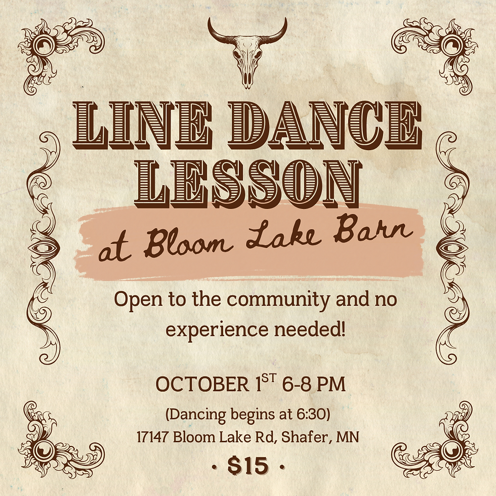 Line Dance Lesson