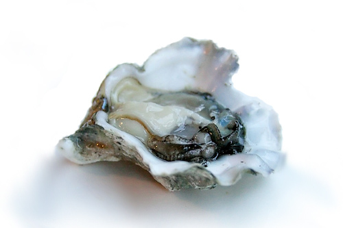 ◆ept◆ SOHO OYSTER WHITE EP4SN1SH81101 Wyndham Collection Soho 71.5 in. Acrylic Flatbottom Center