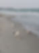 20200912_073137.jpg