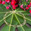 Thumbnail: paperclip chain bracelet