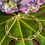 Thumbnail: vermeil chain bracelet