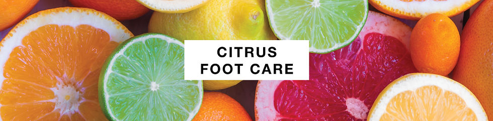 LCN WEB BANNERS 172.jpg