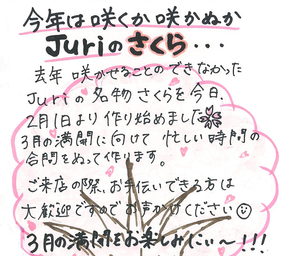 今年は咲くか咲かぬかJuriのさくら…