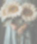 yuvalna_A_small_child_holding_large_cream-colored_sunflowers_ph_e12887f4-752f-48d1-88a4-e92e99f54186_edited_edited.jpg