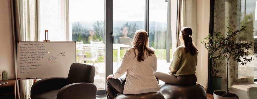 two pregnant woman on medicine balls looking out a window together chatting
