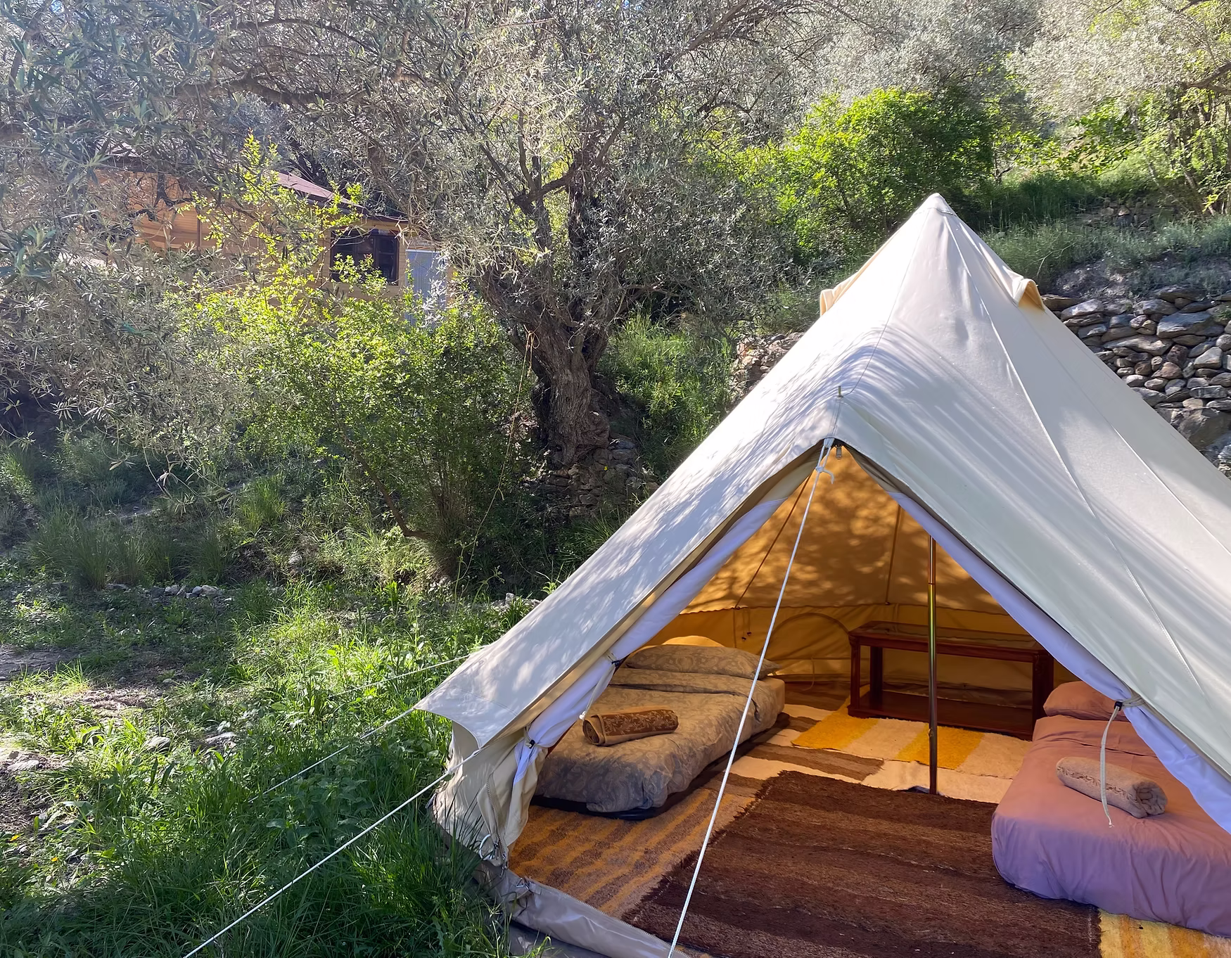 Shared glamping tent at Earth Mama prenatal retreat - accommodation 