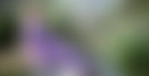 pregnant woman by pool during a couples pregnancy retreat the hummingbee