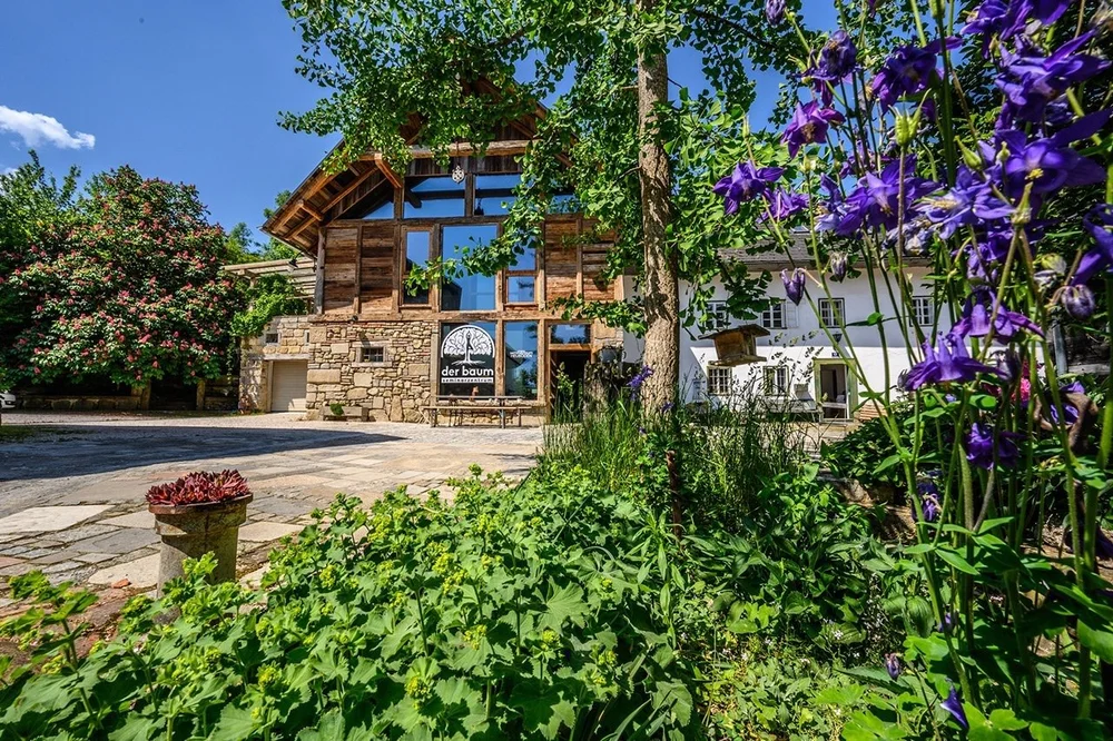 Front entrance of Song of the Mother Retreat by Be Your Muse