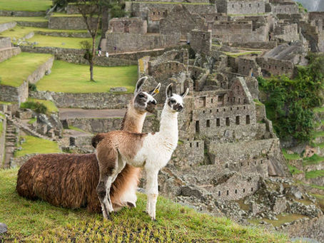 HAYDİ BÜTÜN AİLE PERU'YA!