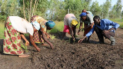 Sénégal, plus gros producteur de sel d'Afrique de l'ouest: atout ou faiblesse?