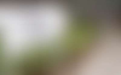 La 26e commémorations : pourquoi y a-t-il eu un génocide au Rwanda ?