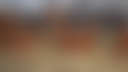 Sommet de l'élevage de Clermont- Ferrand : l'Afrique invitée spéciale