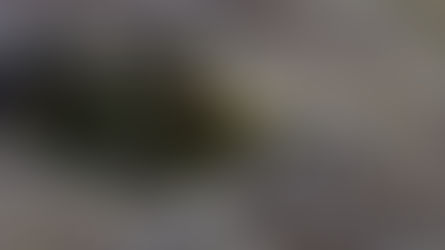 Comment le terrorisme est-il armé ? Les jeux du Pentagone