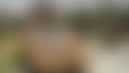 Tchad: une bande de terroristes repérée par l'armée. Tout est sous contrôle.