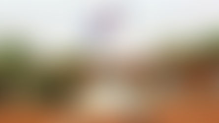 La France humiliée au Niger : son ambassade ferme ses portes, les États-Unis s'engouffrent dans la brèche