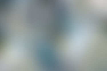 Coronavirus: l'OMS déclare l'état «d'urgence sanitaire mondiale»