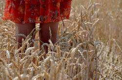 In the field