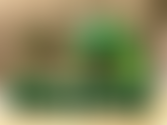 St. Patrick’s Day at Gran Paraiso