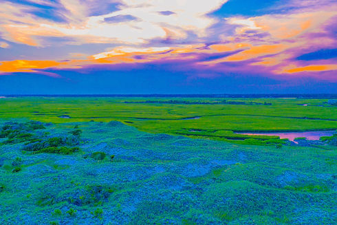 DJI_0035_edited.jpg