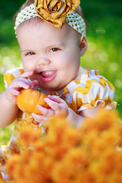 Pumpkin Time