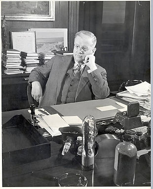 gettyimages-515982416-612x612 Ickes.jpg