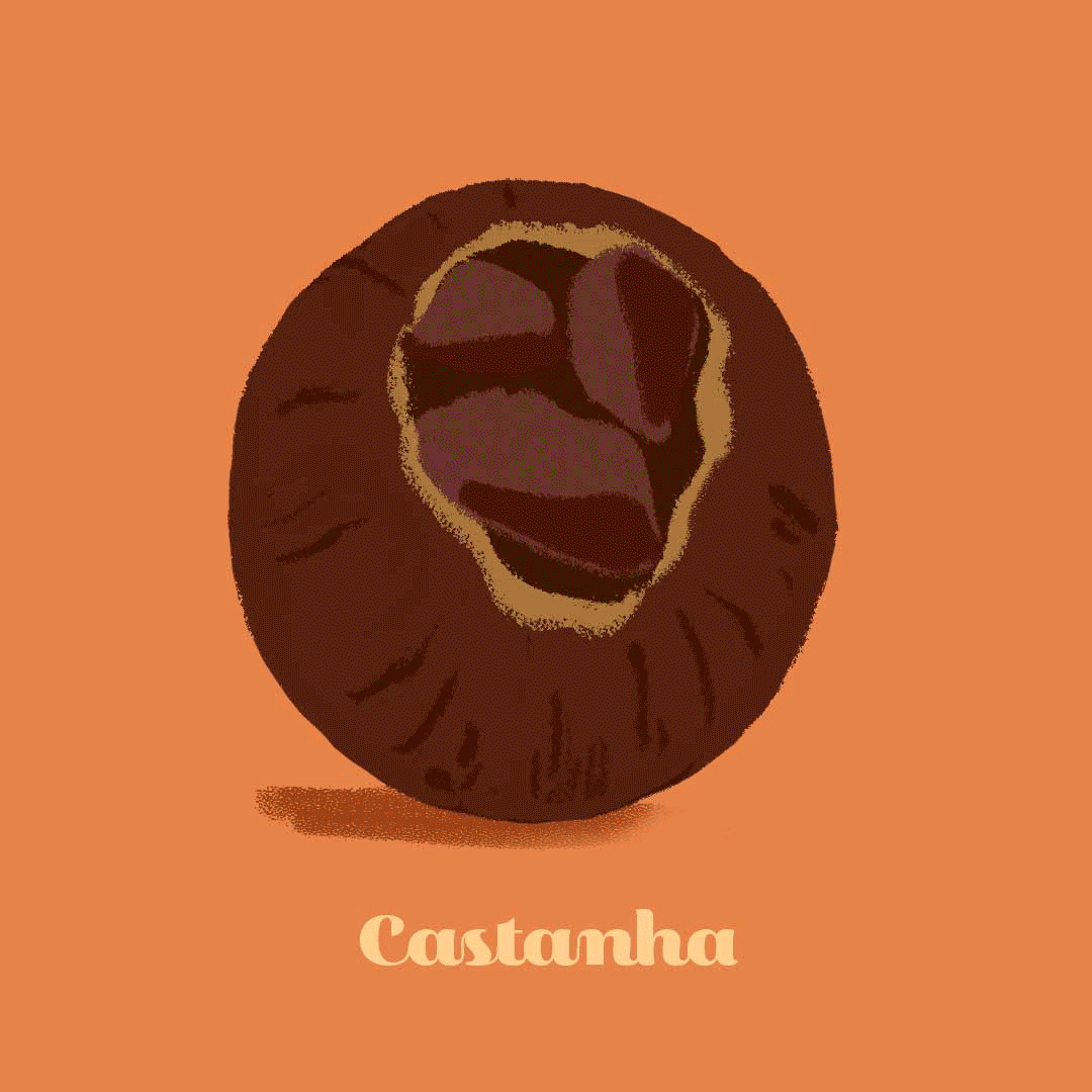 Ingredientes-Cozinha-extrativista.gif