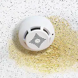 Leaks from outside the house or moisture trapped inside it can cause stains and possibly mold or mildew.