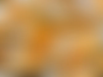 Calorie della Zucca Cotta: Un Superfood per la Tua Alimentazione