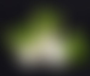 Il Finocchio: Un Superfood da Scoprire per Salute e Benessere