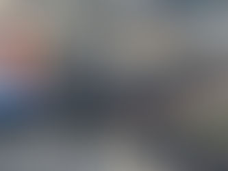 gualtieri incendio santa palomba