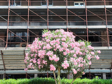A due anni dall'incendio a Colli Aniene si prepara la prima udienza. Bonus affitti in arrivo dal Campidoglio