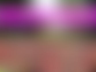 wizz air rome half marathon