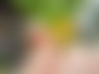 Le Migliori Gelaterie di Roma: Un Viaggio nel Gusto