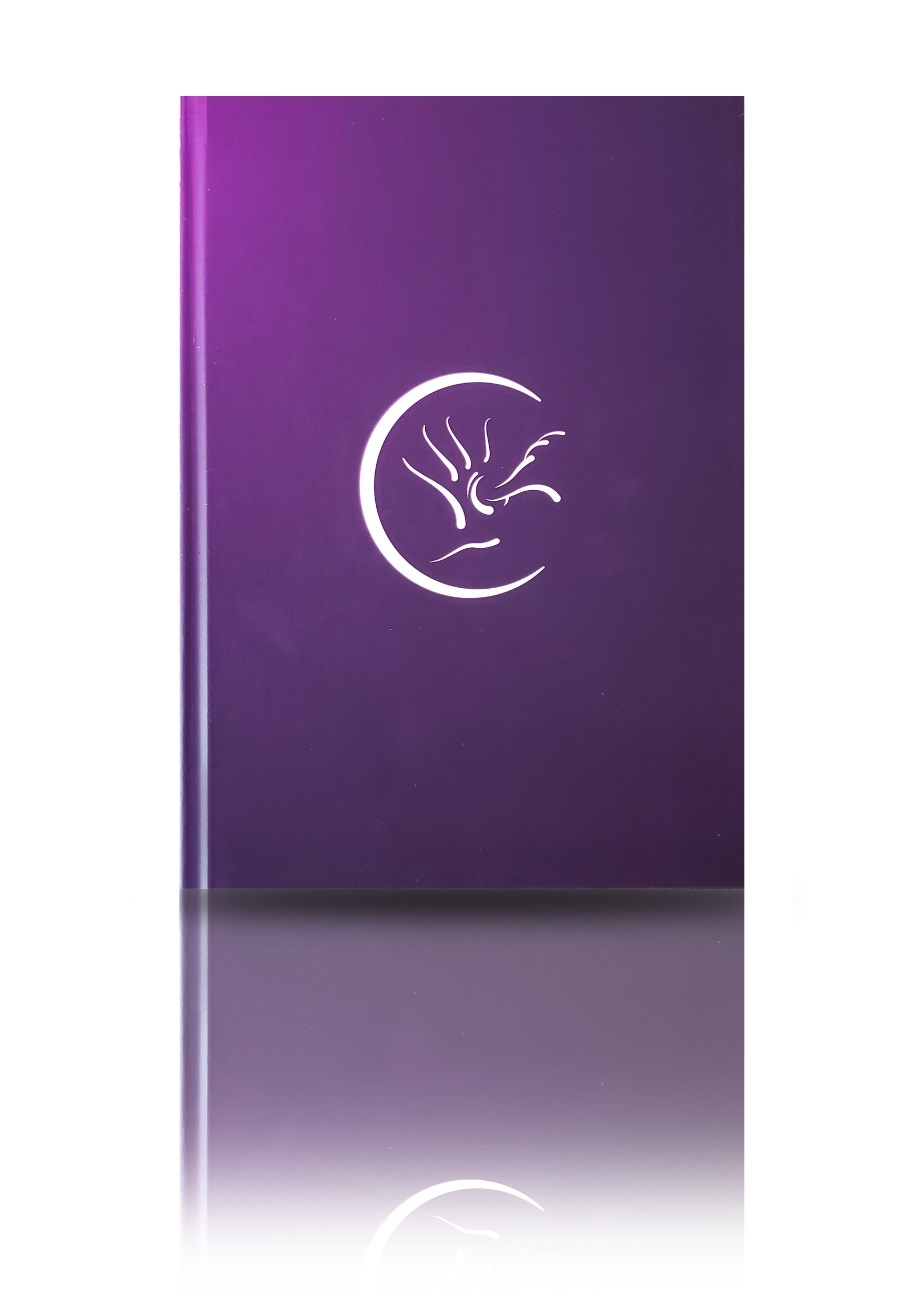 Dream Journal
