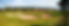 Depositphotos_7435570_xl-2015.jpg